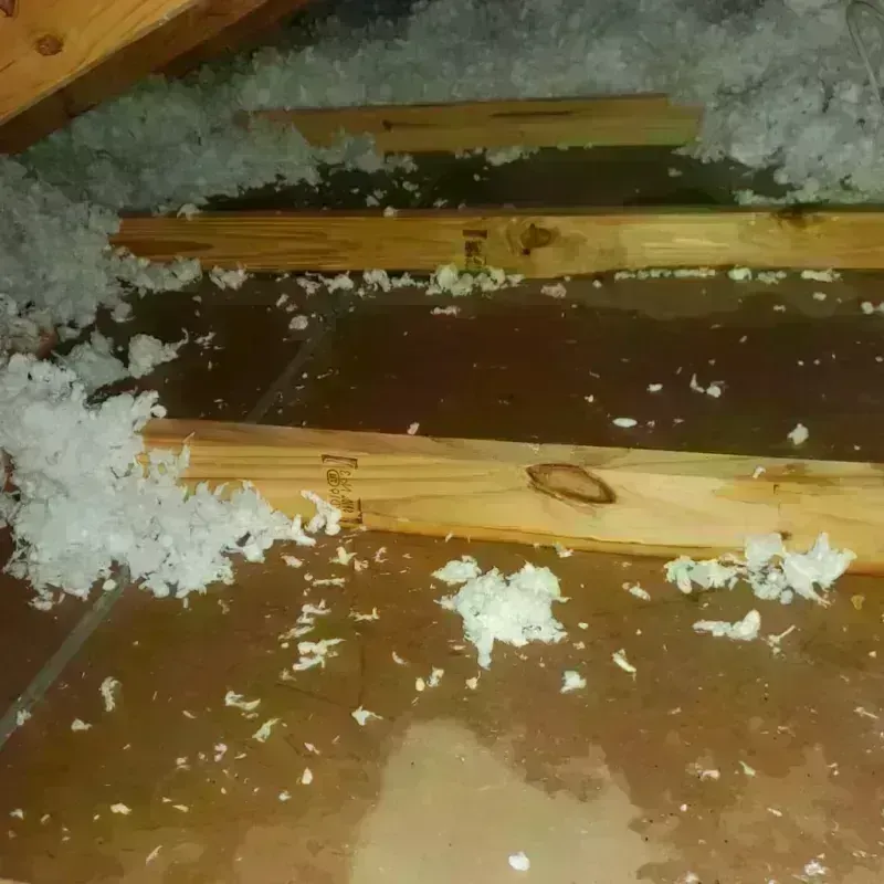 Attic Water Damage in Martin County, NC