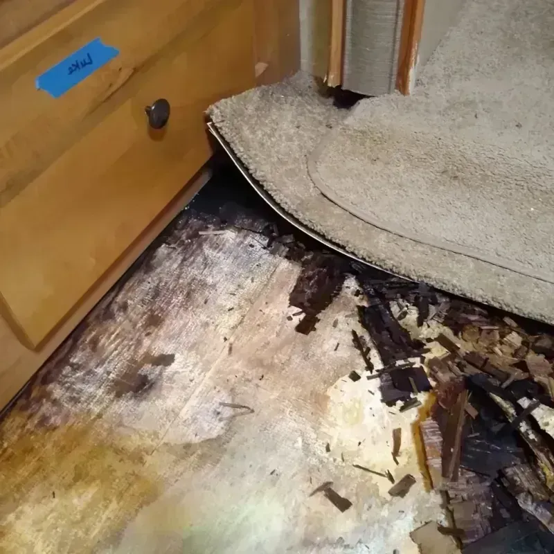 Best Wood Floor Water Damage Service in Martin County, NC